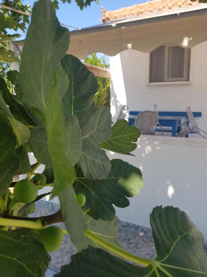 Eleni B&B Limani Kapis Bagian luar foto